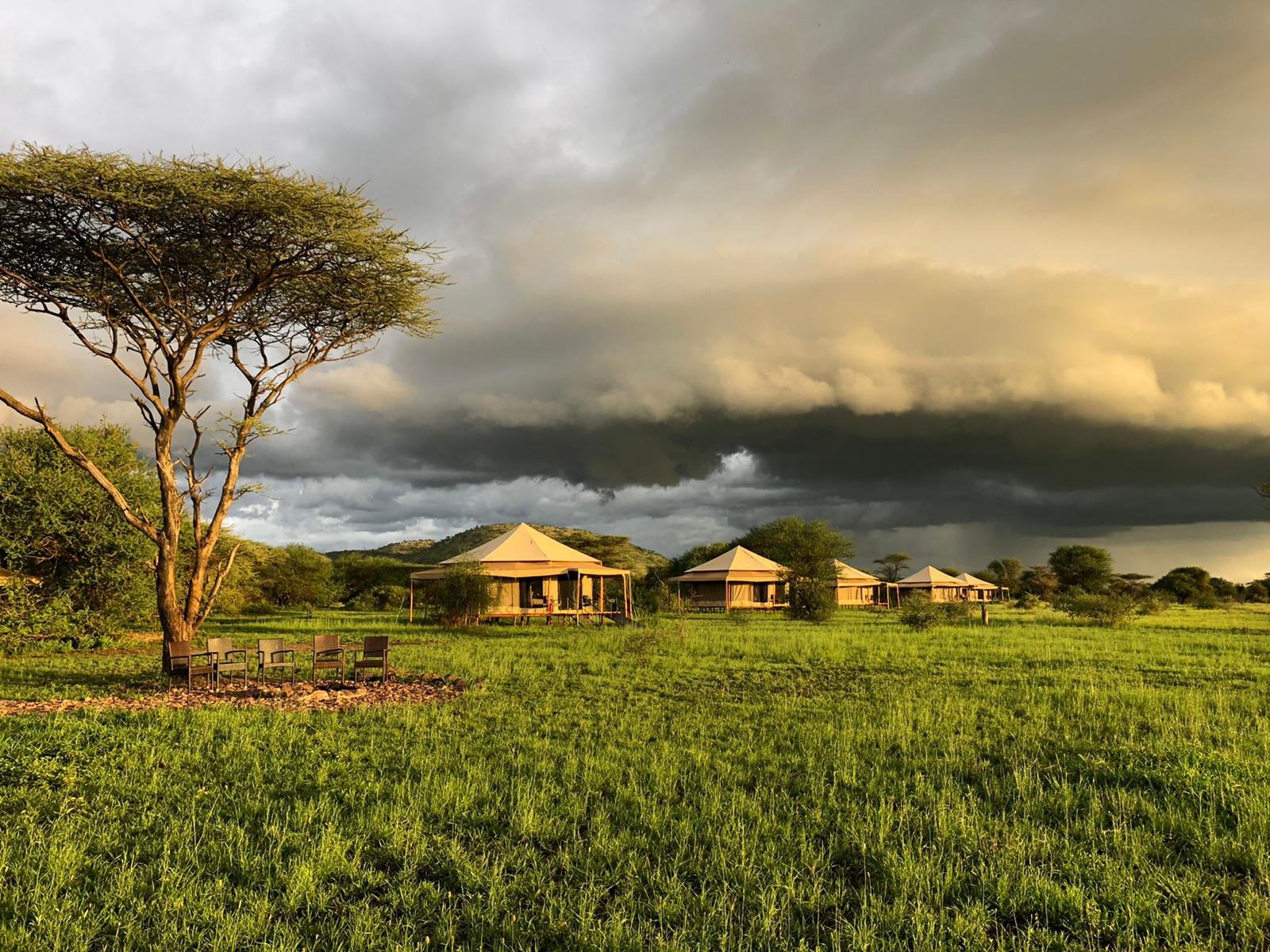 Sound of Silence — Lake Manyara – lodge accommodation in Serengeti National Park, Tanzania