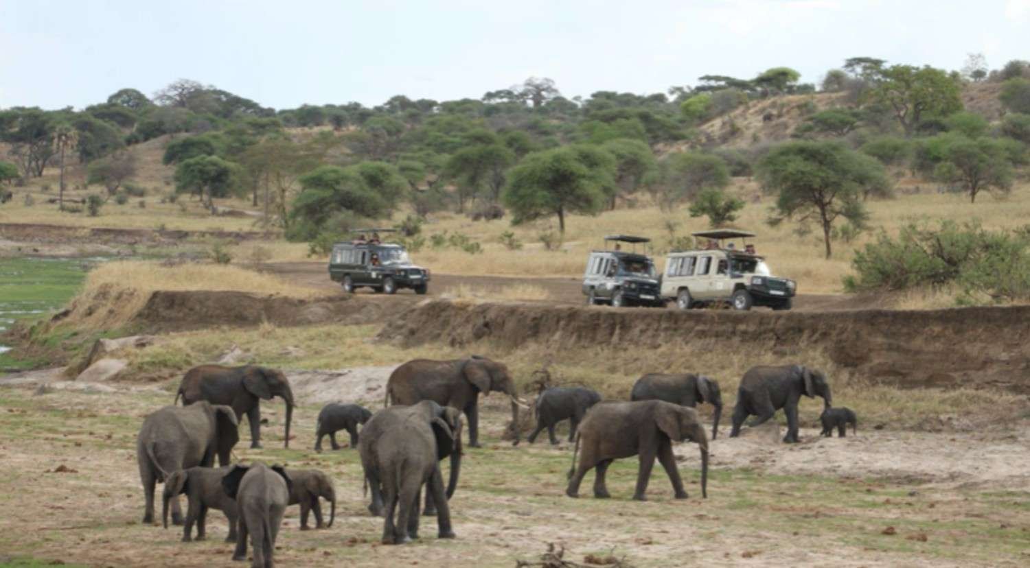 Day game drive