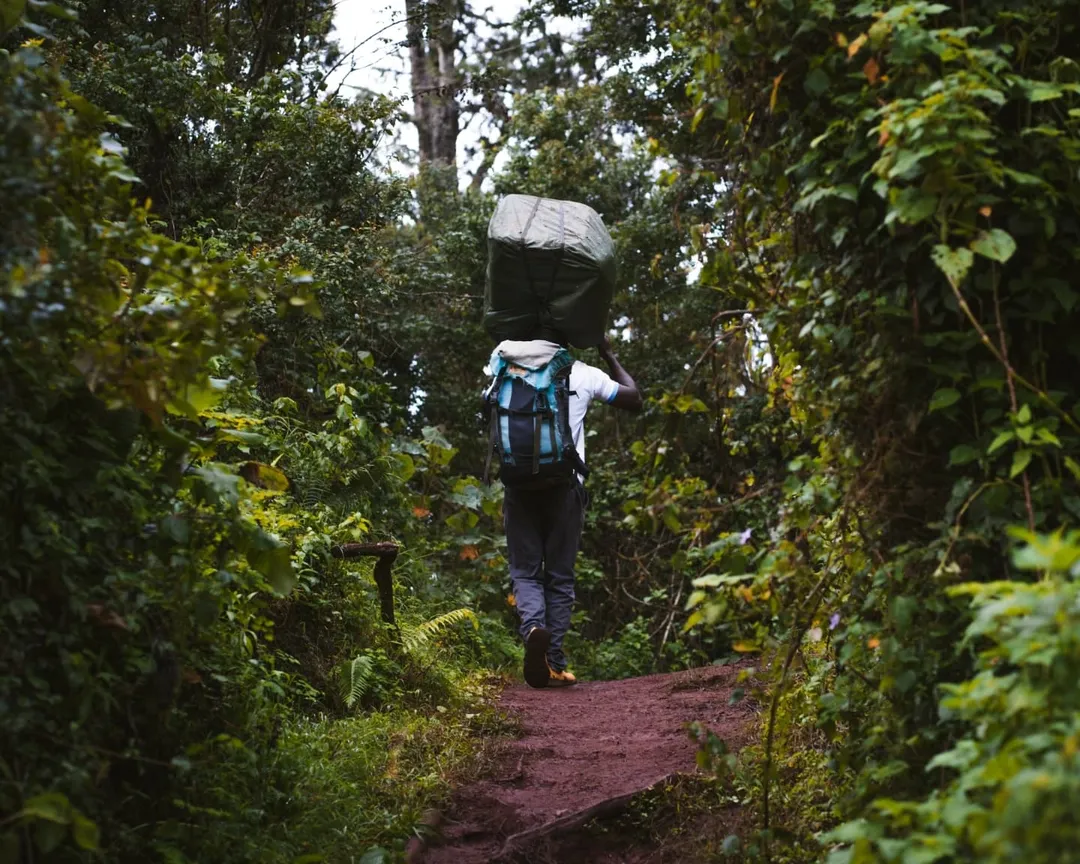 Kilimanjaro National Park national park wildlife – Machame Route itinerary stop