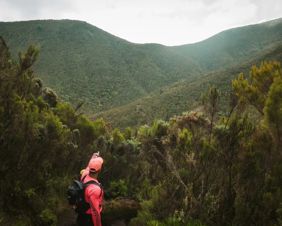 Kilimanjaro National Park national park wildlife – Machame Route itinerary stop