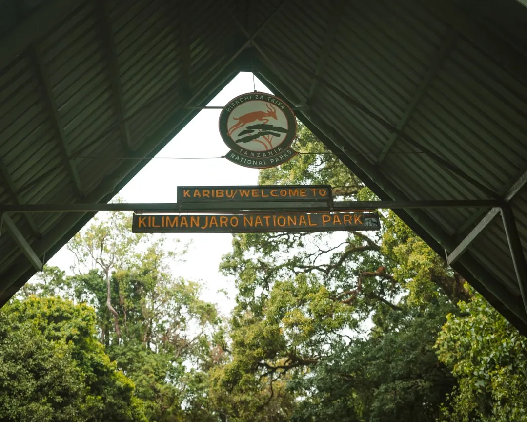 Kilimanjaro National Park national park wildlife – Machame Route itinerary stop
